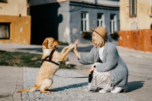 cane e ragazza si scambiano coccole