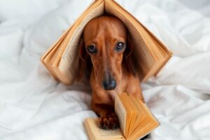 libri per bambini sui cani