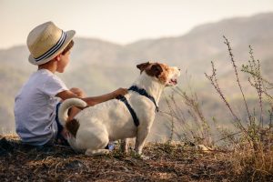 legge Brambilla e violenza sulle donne