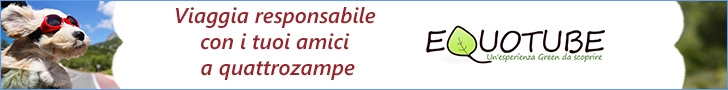 Progetto Adotta un Amico a Quattro Zampe in collaborazione con EquoTube