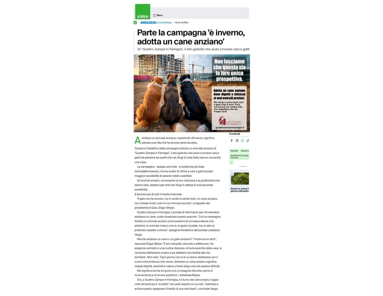 ansa.it adotta un animale anziano