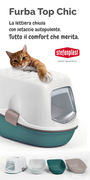Stefanplast 2
