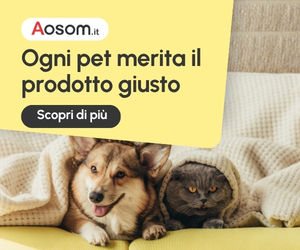 aosom 2